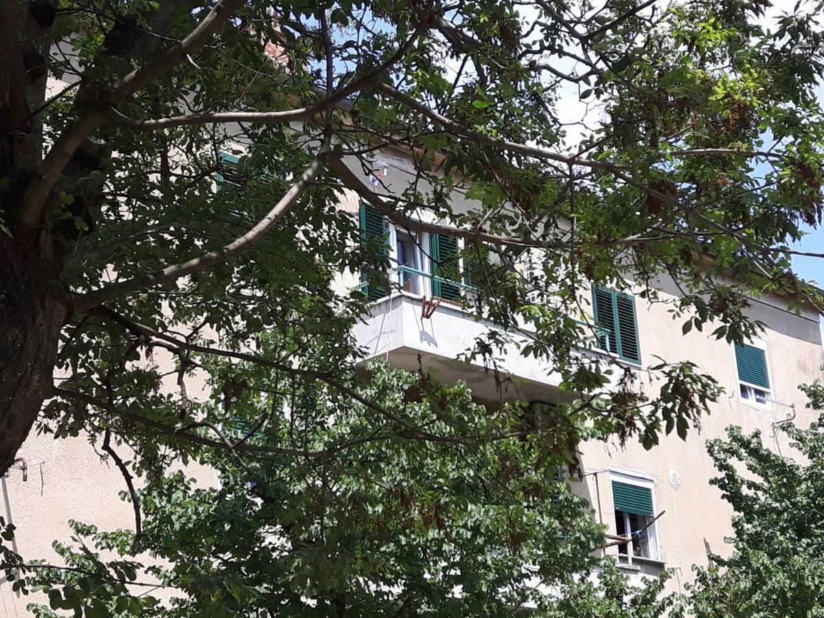 Apartment Sunny Place Zadar Exterior photo